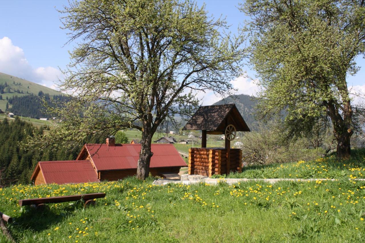 Polonyna Villa Verkhovyna Exterior photo