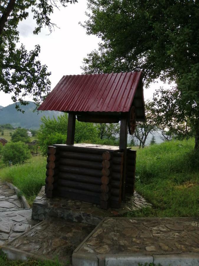 Polonyna Villa Verkhovyna Exterior photo